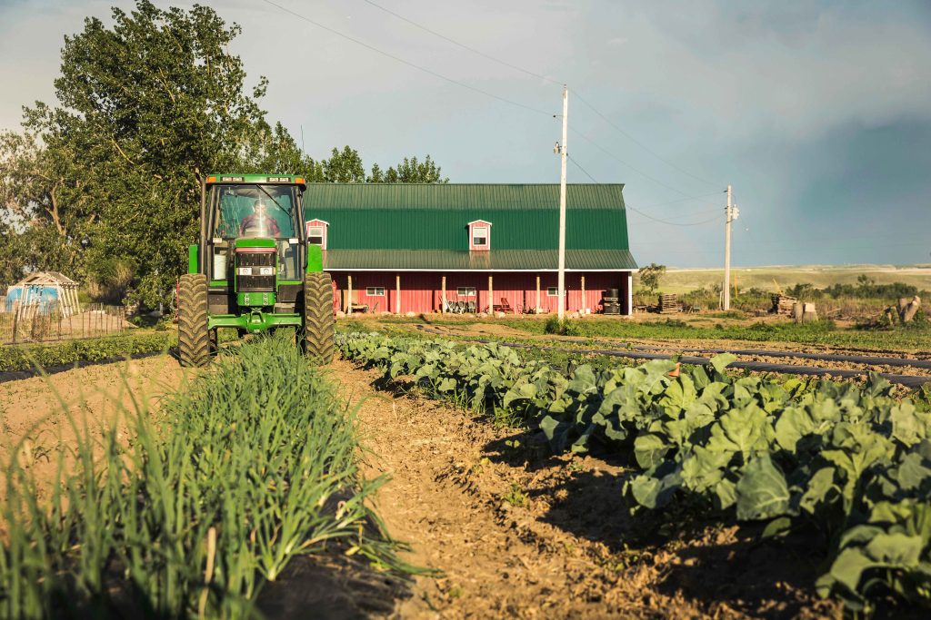 Farm Management N4-N6