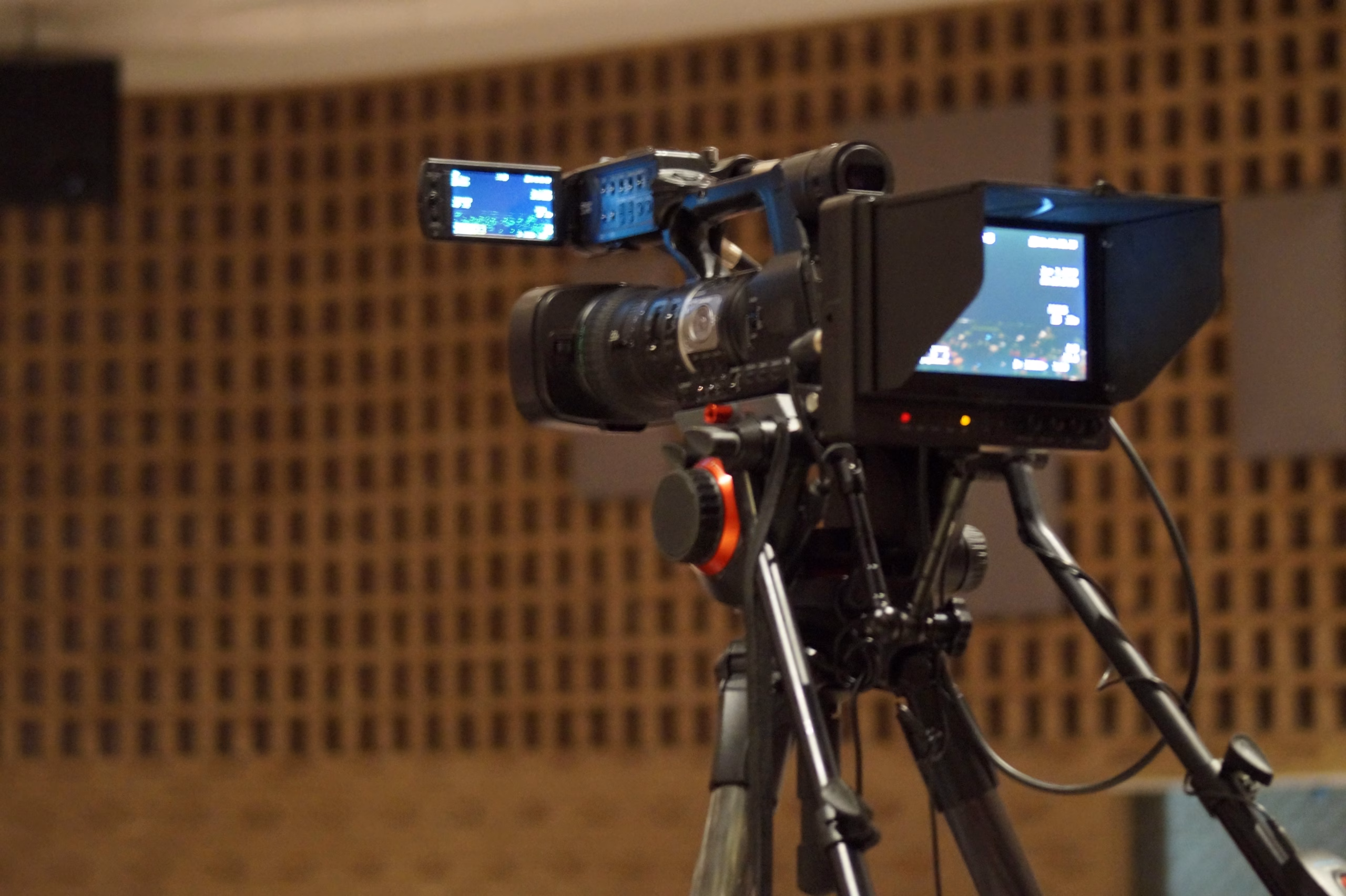 Faculty of media studies at Greenview College